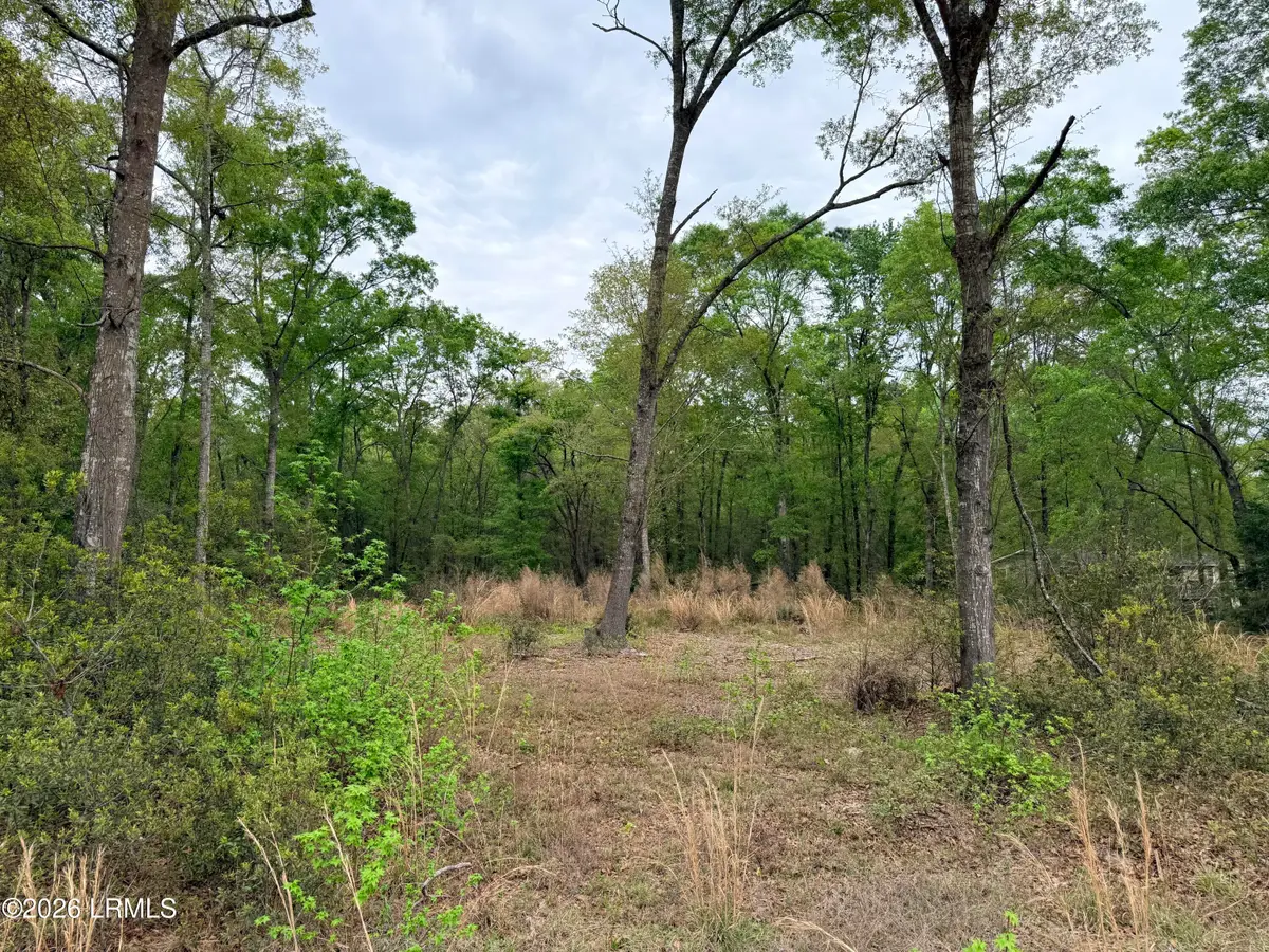 0 Meredith Road, Ridgeland, SC 29936 - #1
