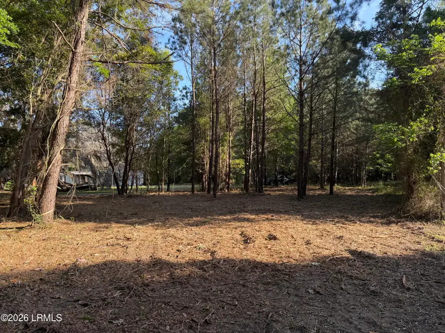 41 Pearl Harbor Lane, Saint Helena Island, SC 29920 - #3