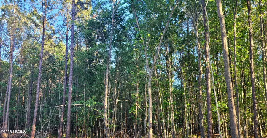 Tbd Speedway Boulevard, Hardeeville, SC 29927 - #2