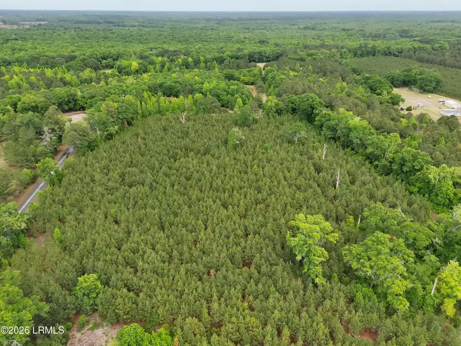 Tbd Ulmer Road, Fairfax, SC 29827 - #3