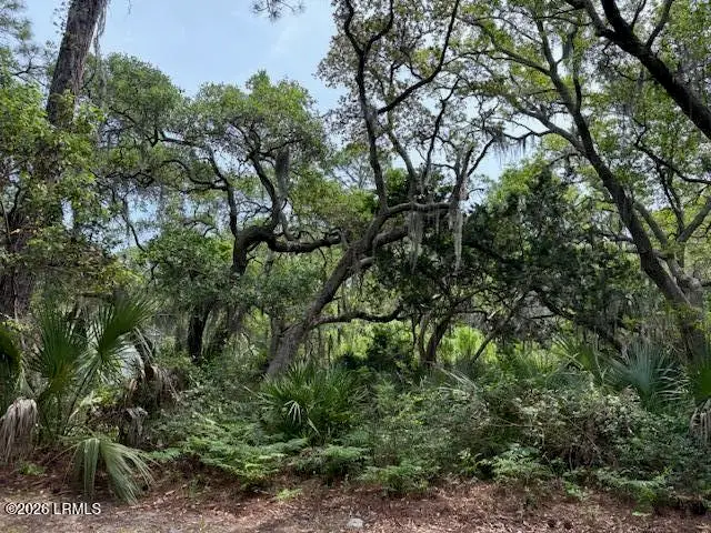 15 Lakeview Lane, Harbor Island, SC 29920 - #2