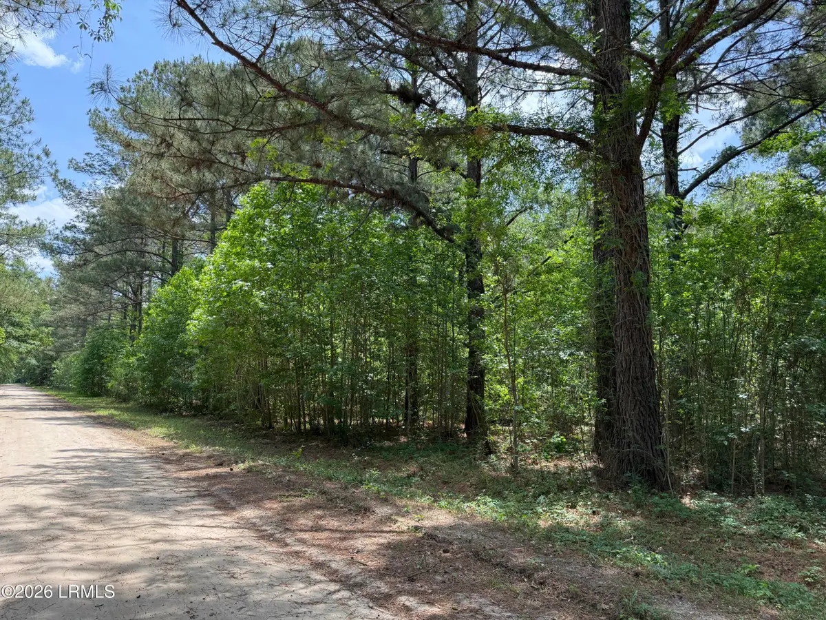 12 Rubie Lane, Yemassee, SC 29945 - #1
