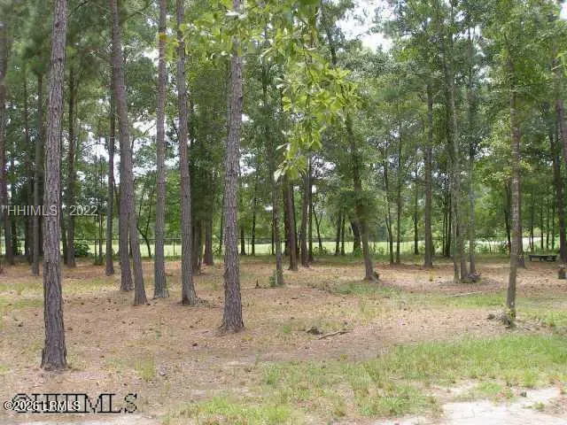 60 Clifton Drive, Okatie, SC 29909 - #3