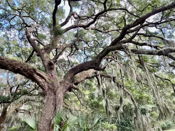Tbd Mattis Drive, St. Helena Island, SC 29920
