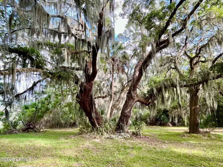 Tbd Mattis Drive, Saint Helena Island, SC 29920 - #3