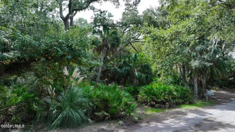 372 Pike Drive, Fripp Island, SC 29920 - #3