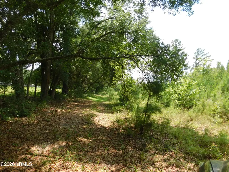 Tbd Gillison Branch Road, Ridgeland, SC 29936 - #2
