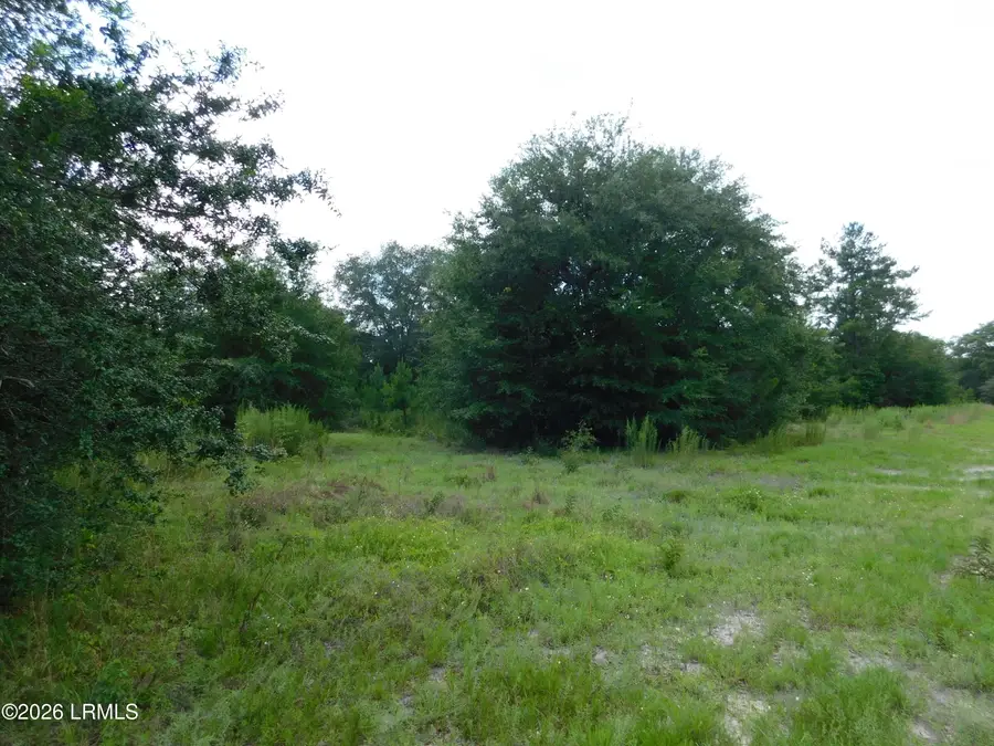 Tbd Gillison Branch Road, Ridgeland, SC 29936 - #3