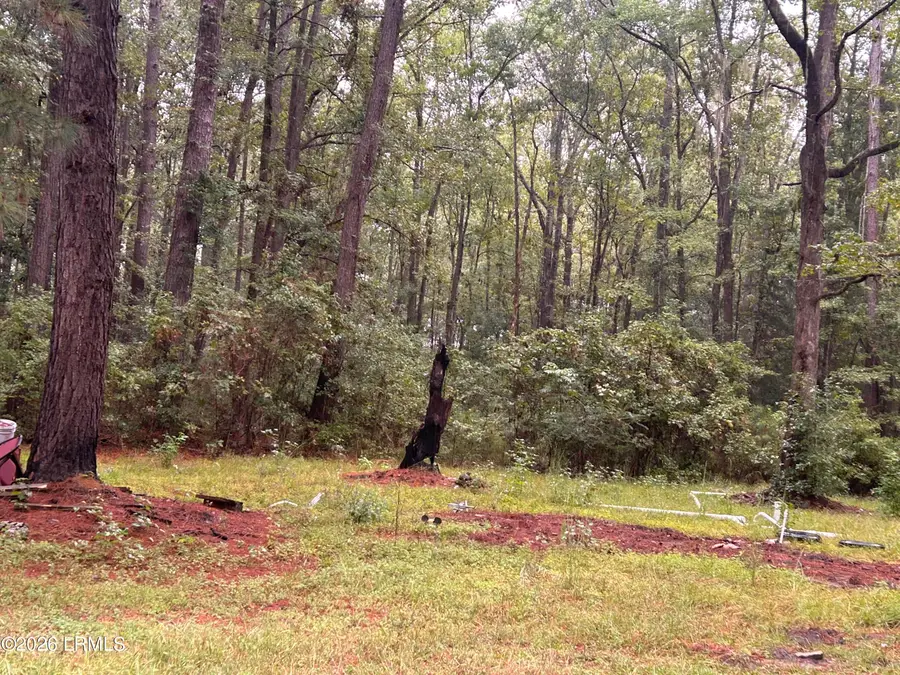 29 Porches Hill Road, Seabrook, SC 29940 - #3