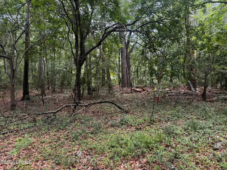 43 Pine Grove Road, Beaufort, SC 29906 - #2
