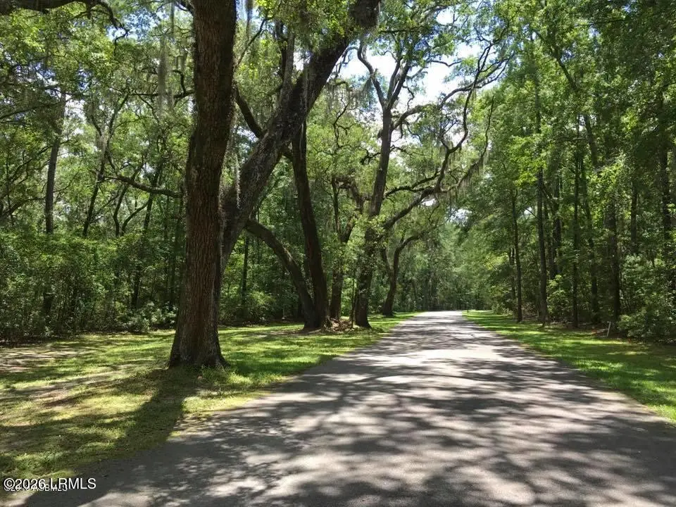 85 Tomotley Barony Drive, Seabrook, SC 29940 - #1