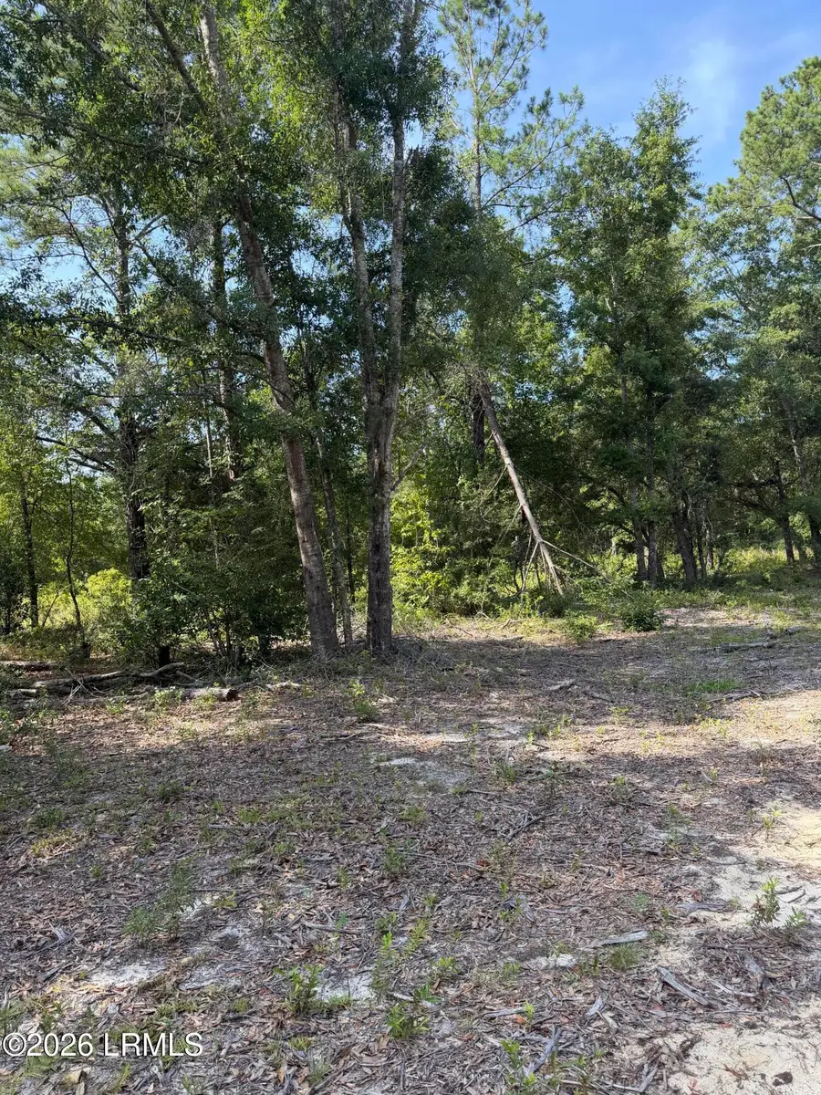 Tbd Bulls End, Ridgeland, SC 29936 - #3
