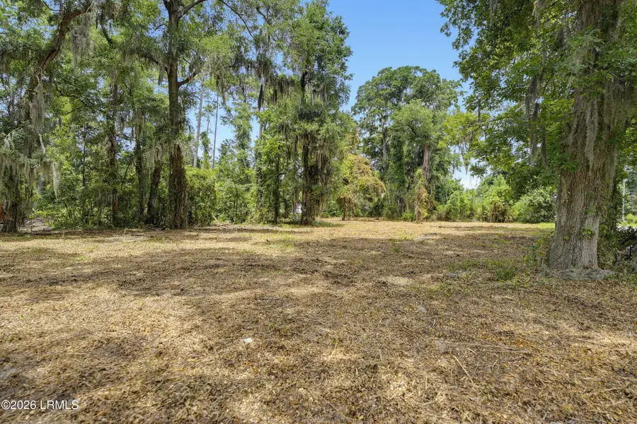 20 Old Jericho Road, Beaufort, SC 29906 - #2