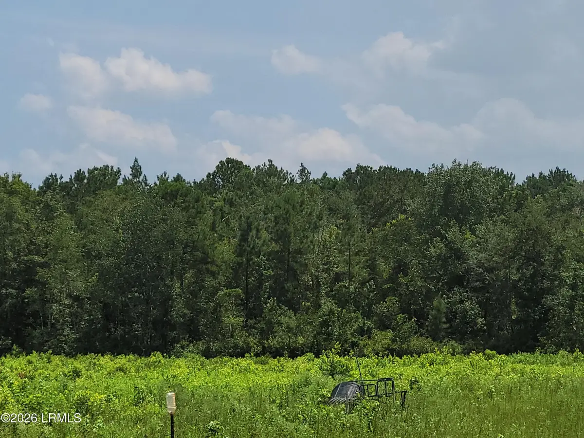 Tbd Toomerville Loop, Hardeeville, SC 29927 - #1