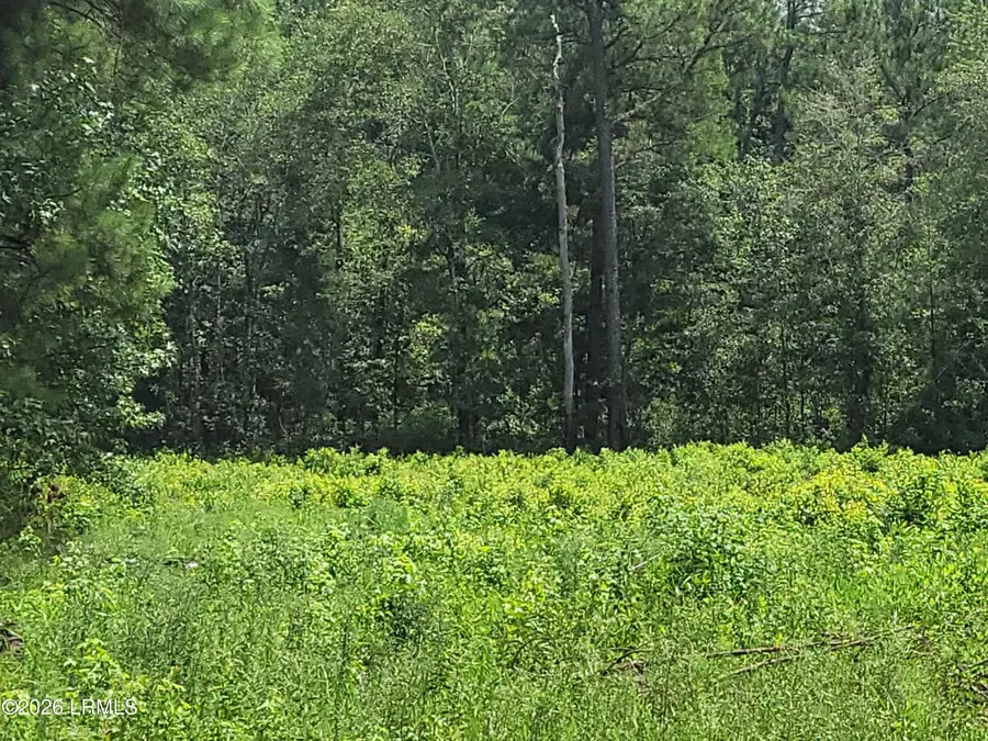 Tbd Toomerville Loop, Hardeeville, SC 29927 - #2