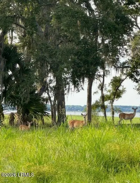 7 Turnstone Drive N, Beaufort, SC 29907