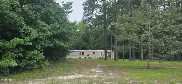 344 Pedro Road, Varnville, SC 29944