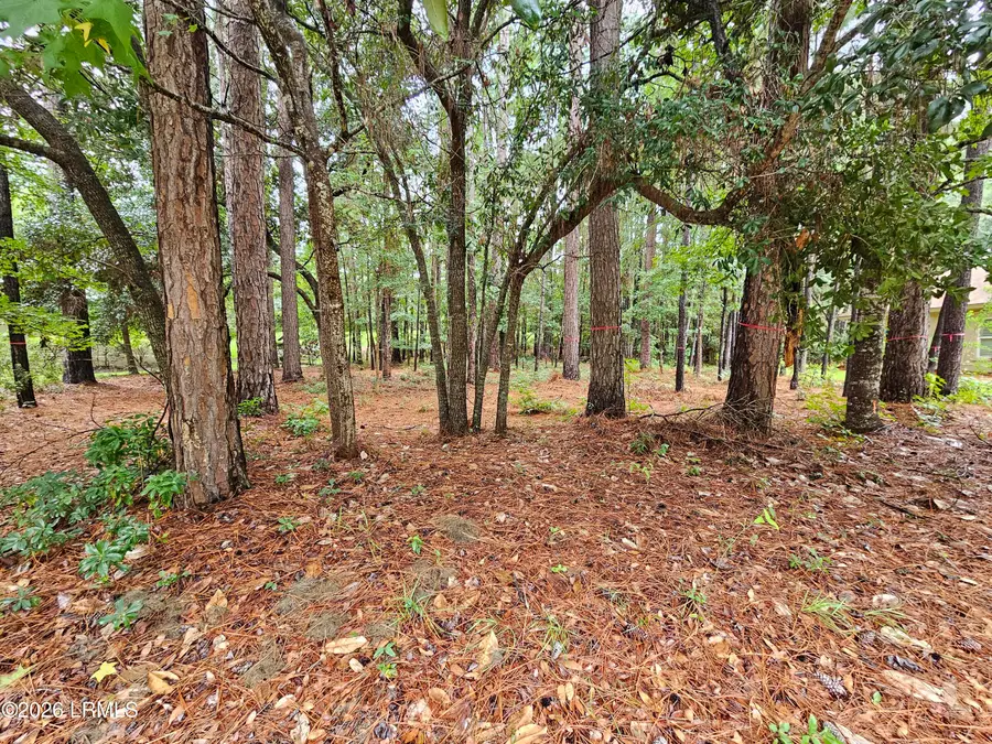16 Cutter Circle, Bluffton, SC 29909 - #2