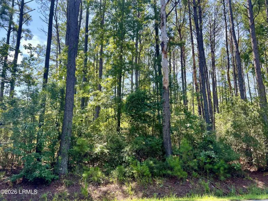 387 Founders Oak Way, Yemassee, SC 29945 - #2