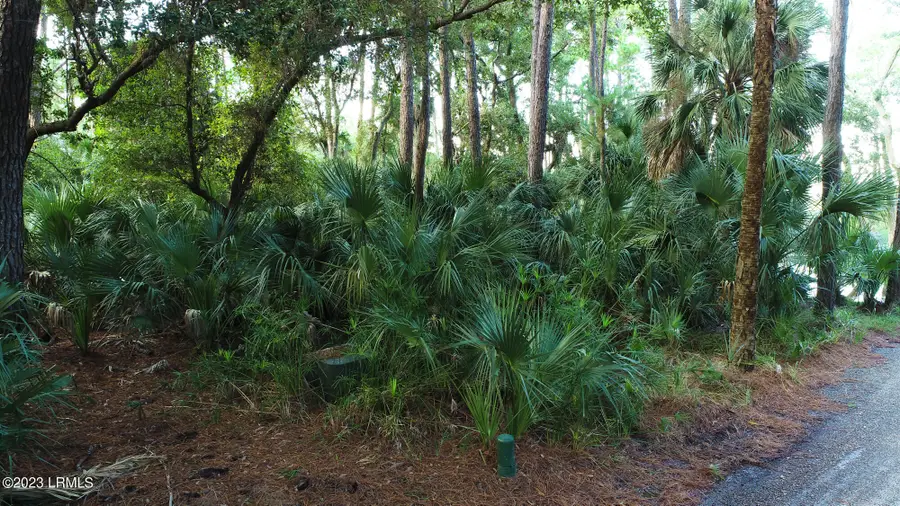 375 Yellow Tang Road, Fripp Island, SC 29920 - #2