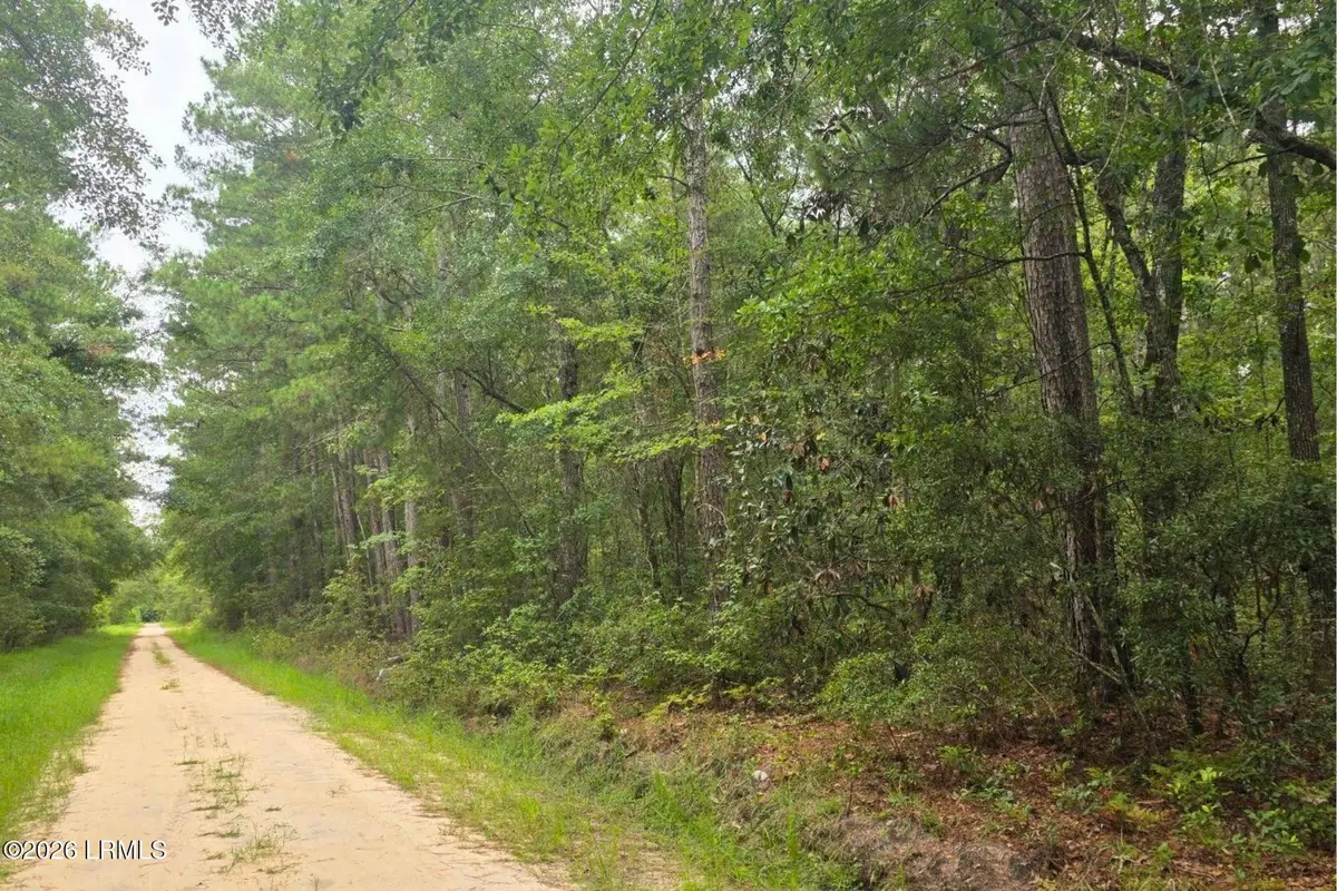 00 Wade Hampton Road, Hampton, SC 29924 - #1