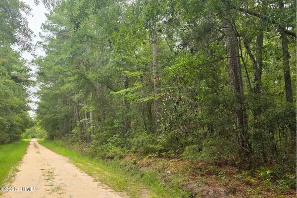 00 Wade Hampton Road, Hampton, SC 29924