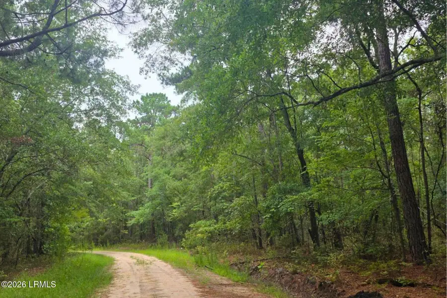 00 Wade Hampton Road, Hampton, SC 29924 - #2