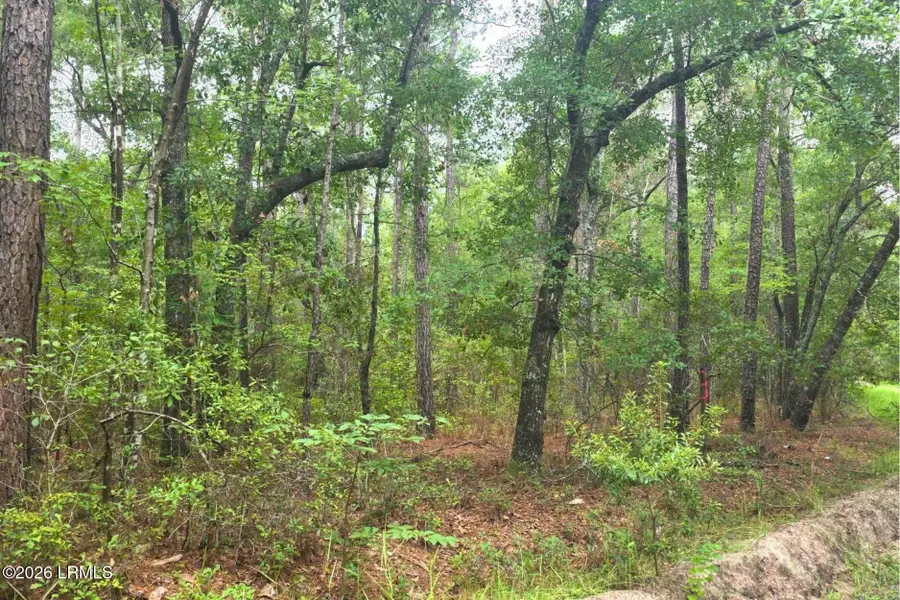 00 Wade Hampton Road, Hampton, SC 29924 - #3