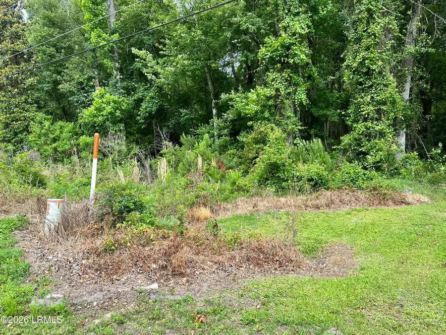 Lot 3 Estelle Road, Beaufort, SC 29906 - #2
