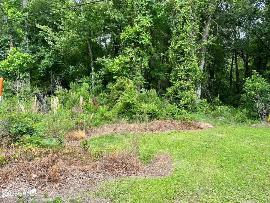 Lot 3 Estelle Road, Beaufort, SC 29906 - #3