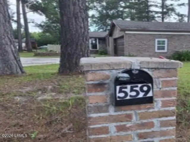 559 Rivers Hill, Pineland, SC 29934 - #3
