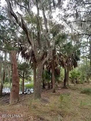 8 Governor Blake Drive, Beaufort, SC 29907