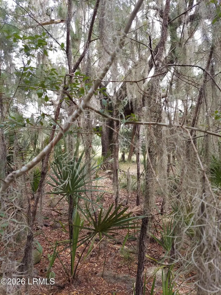 8 Governor Blake Drive, Beaufort, SC 29907 - #2