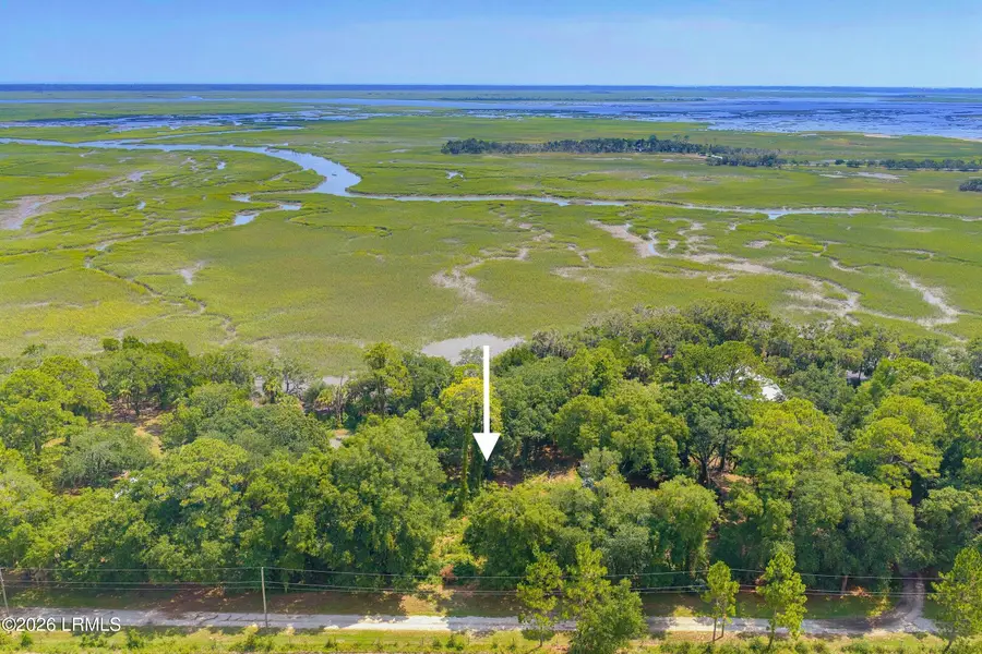 95 Harbor Oaks Lane, Saint Helena Island, SC 29920 - #3