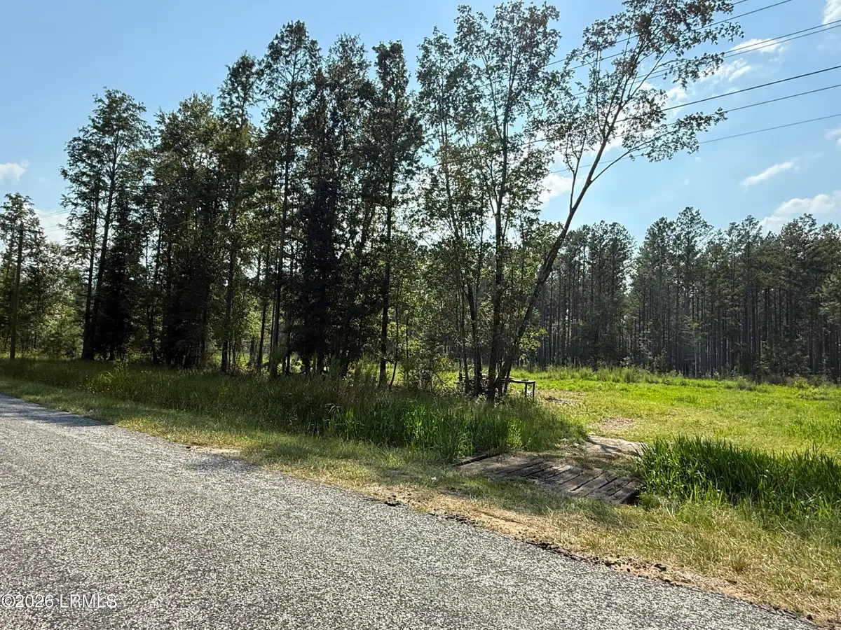 Tbd Cohen Road, Pineland, SC 29934 - #1