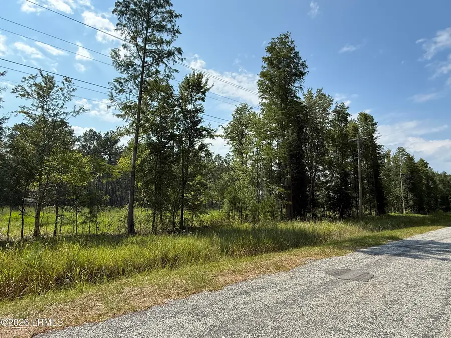 Tbd Cohen Road, Pineland, SC 29934 - #2