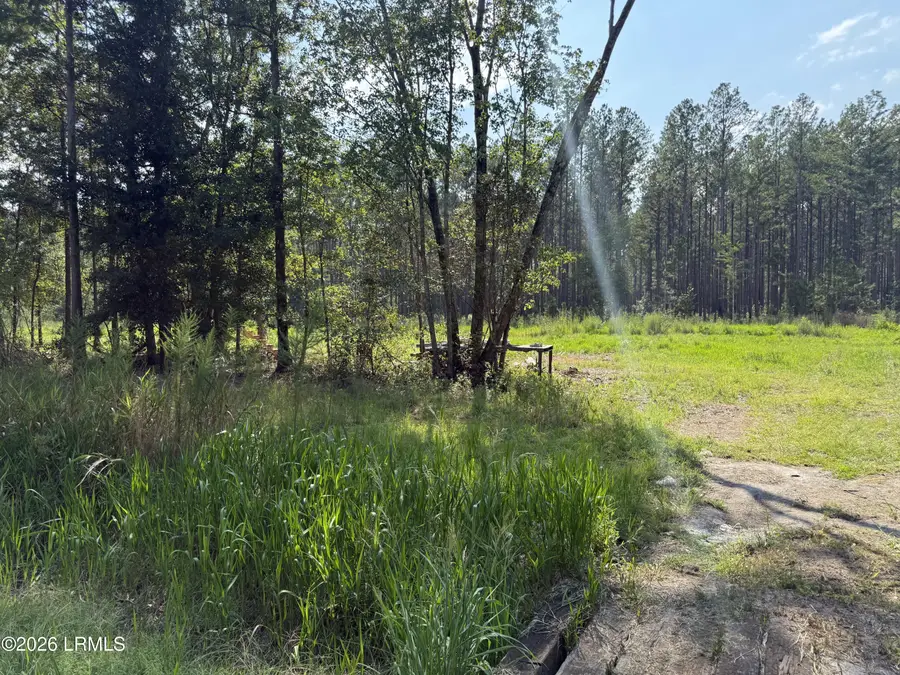 Tbd Cohen Road, Pineland, SC 29934 - #3