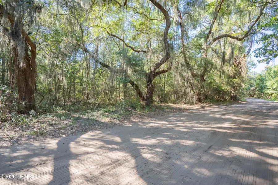 21 Chaplin Drive, Saint Helena Island, SC 29920 - #3