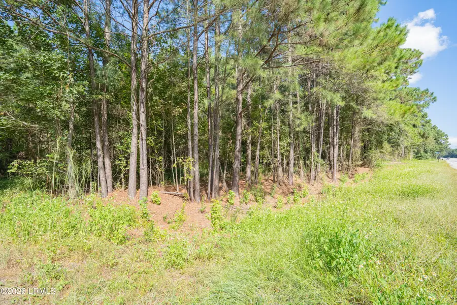 18 Mustang Lane, Saint Helena Island, SC 29920 - #3