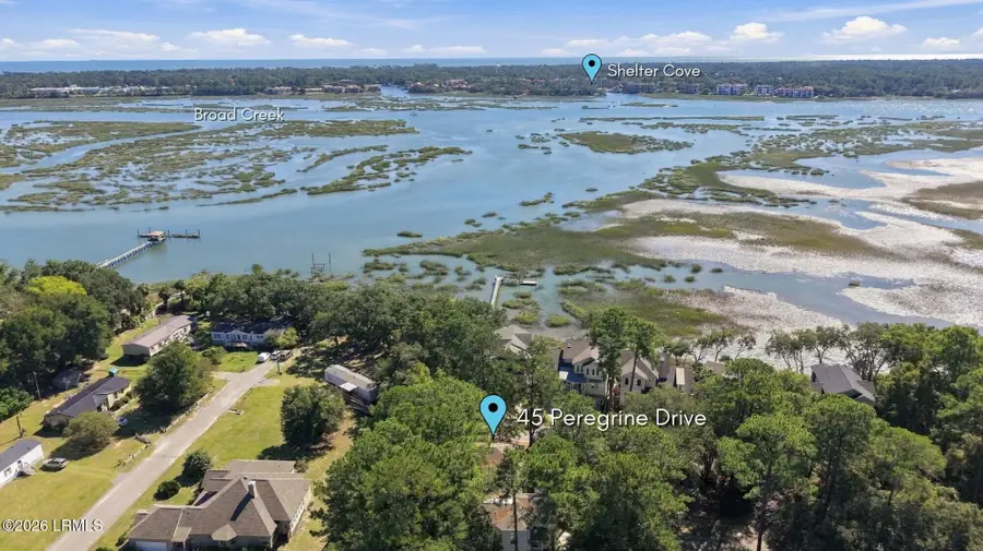 45 Peregrine Drive, Hilton Head Island, SC 29926 - #2