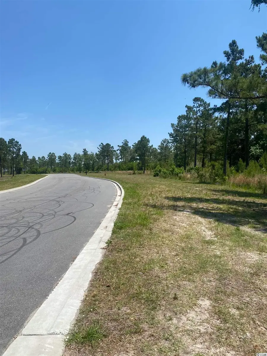 Water Tower Rd., Longs, SC 29568 - #3