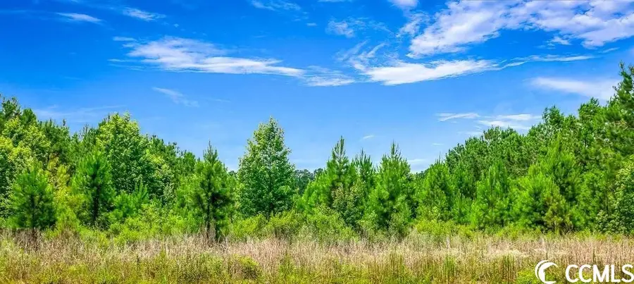 tbd Jasmine Rd., Loris, SC 29569 - #2