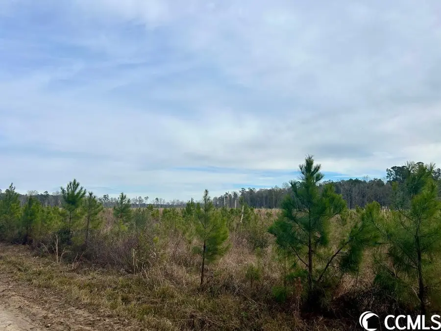 Craven Dr., Marion, SC 29571 - Image #3