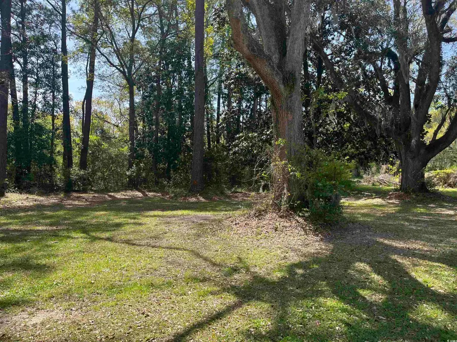 221 Robert Conway Ct., Georgetown, SC 29440 - Image #3