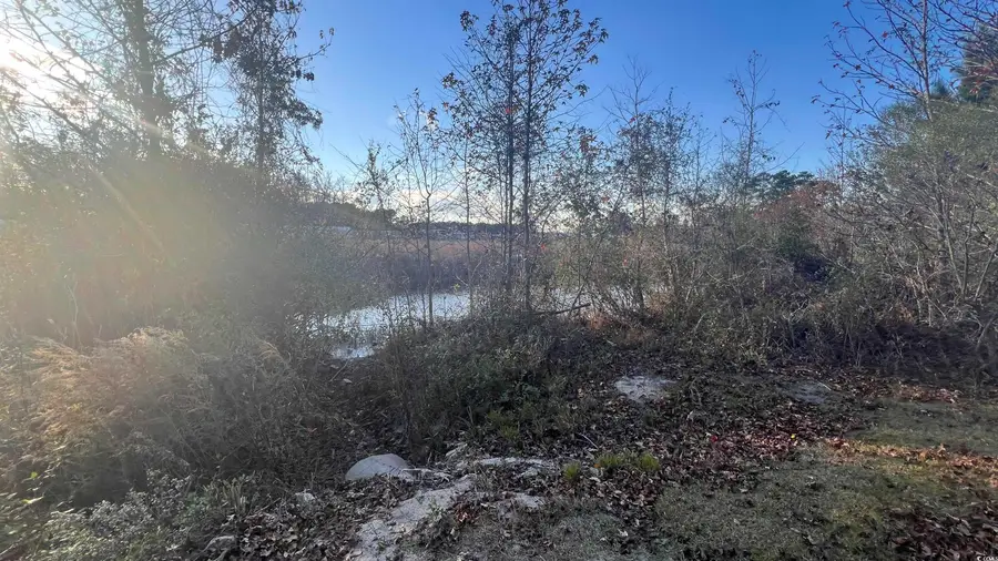 10.79 acres Highway 90, Longs, SC 29568 - #3