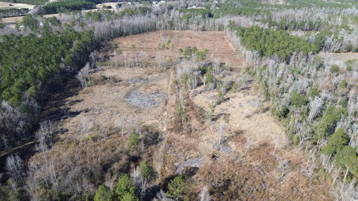 TBD Highway 905, Conway, SC 29526 - Image #1