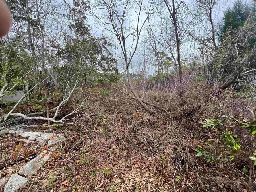 2485 Burning Tree Ln., Little River, SC 29566 - Image #3