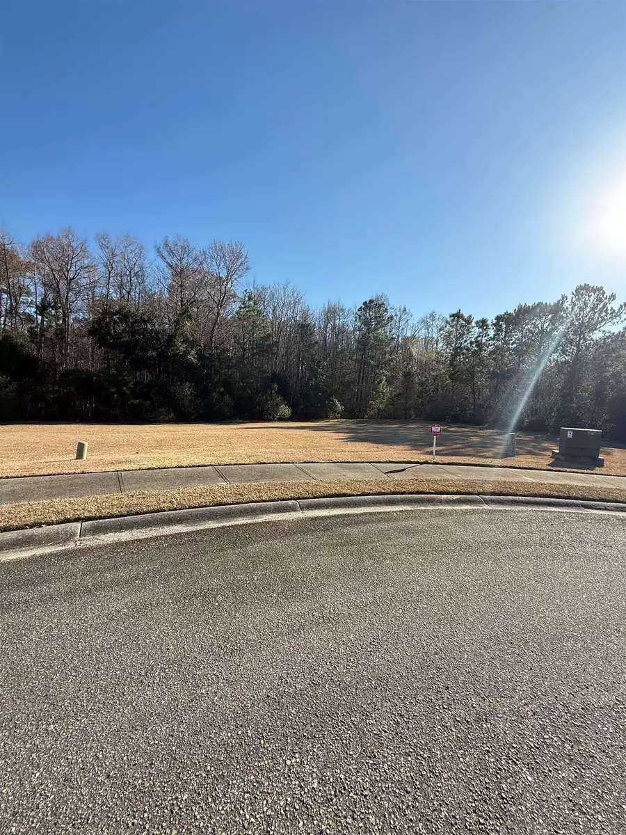 159 Commanders Island Rd., Georgetown, SC 29440 - #2