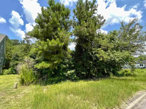 286 Rivers Edge Dr., Conway, SC 29526