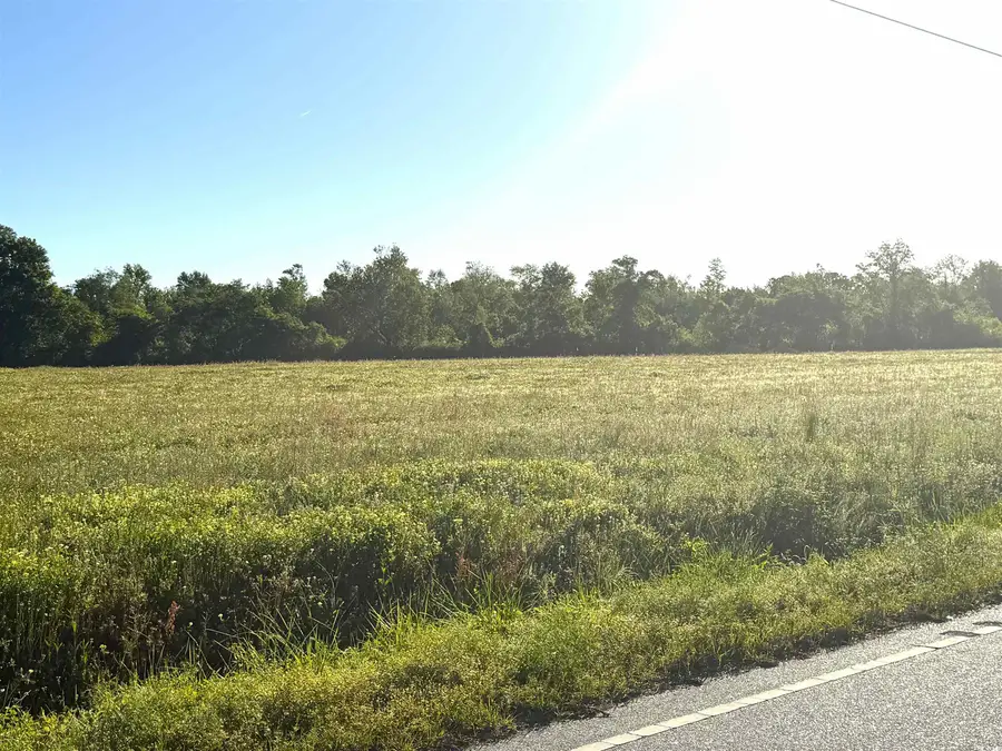 Tract 3 Borkowitz Rd., Scranton, SC 29591 - Image #3